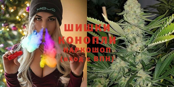 шишки Абинск