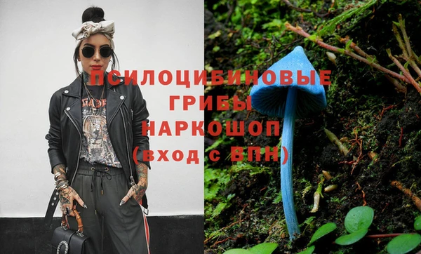 шишки Абинск