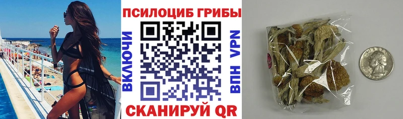 что такое наркотик  Истра  МЕГА маркетплейс  Галлюциногенные грибы мицелий 